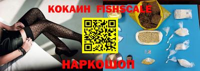 СК Новодвинск