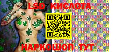 СК Новодвинск