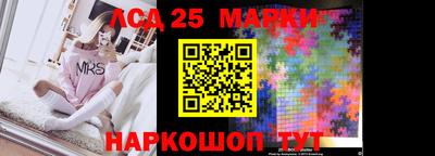 молекула духа Новозыбков