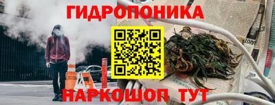 СК Новодвинск