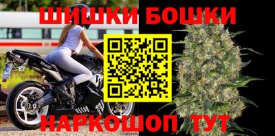 СК Новодвинск