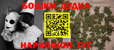 молекула духа Новозыбков