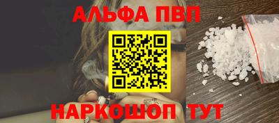 СК Новодвинск