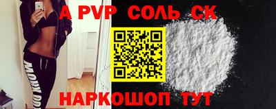 СК Новодвинск
