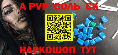 СК Новодвинск
