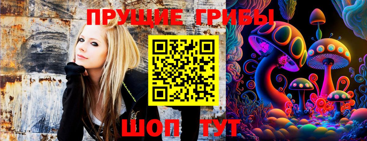 Сорочинск  Галлюциногенные грибы Magic Shrooms  Псилоцибиновые грибы мухоморы  Вход с VPN 